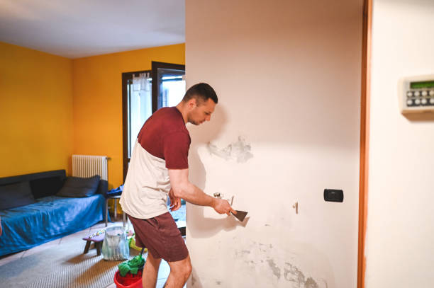 Best Post-Remediation Services in De Smet, SD