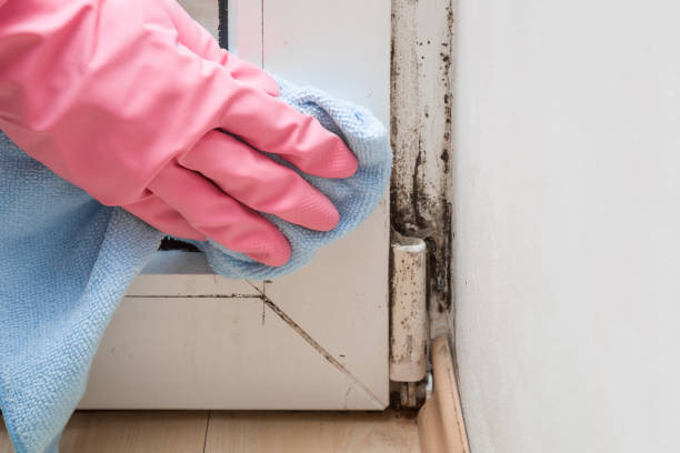Best Crawl Space Mold Remediation in De Smet, SD